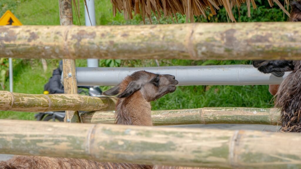 Photo Life Style Changes