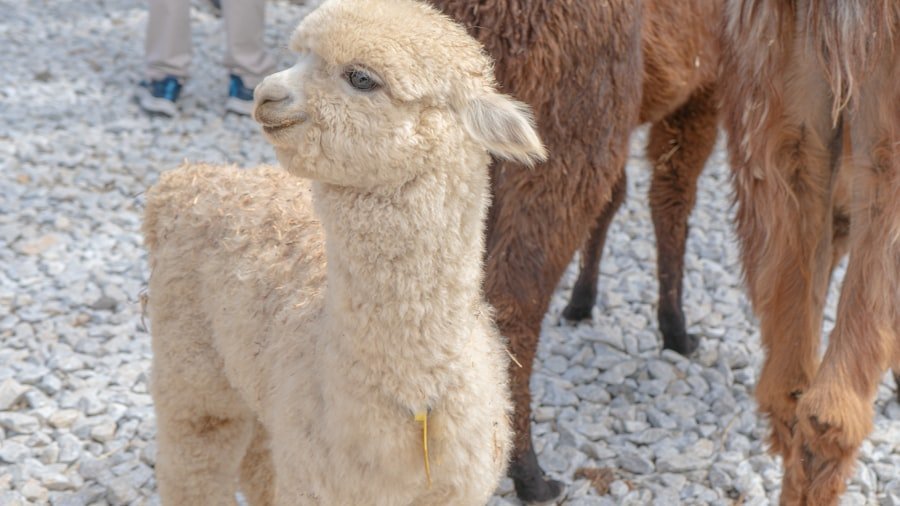 Photo Life Style Changes